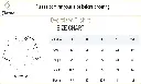 over size tshirt size chart.webp