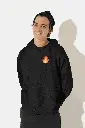 17.webp