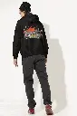 24.2.webp