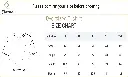 over size tshirt size chart.webp